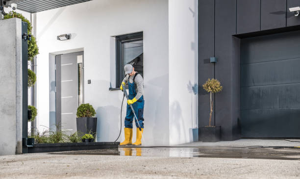 Best Driveway Pressure Washing  in Ferndale, MD